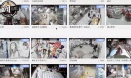 网言爆料视频,一窥网络世界背后的真实故事